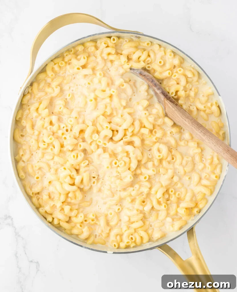 cheese sauce and macaroni noodles mixed together