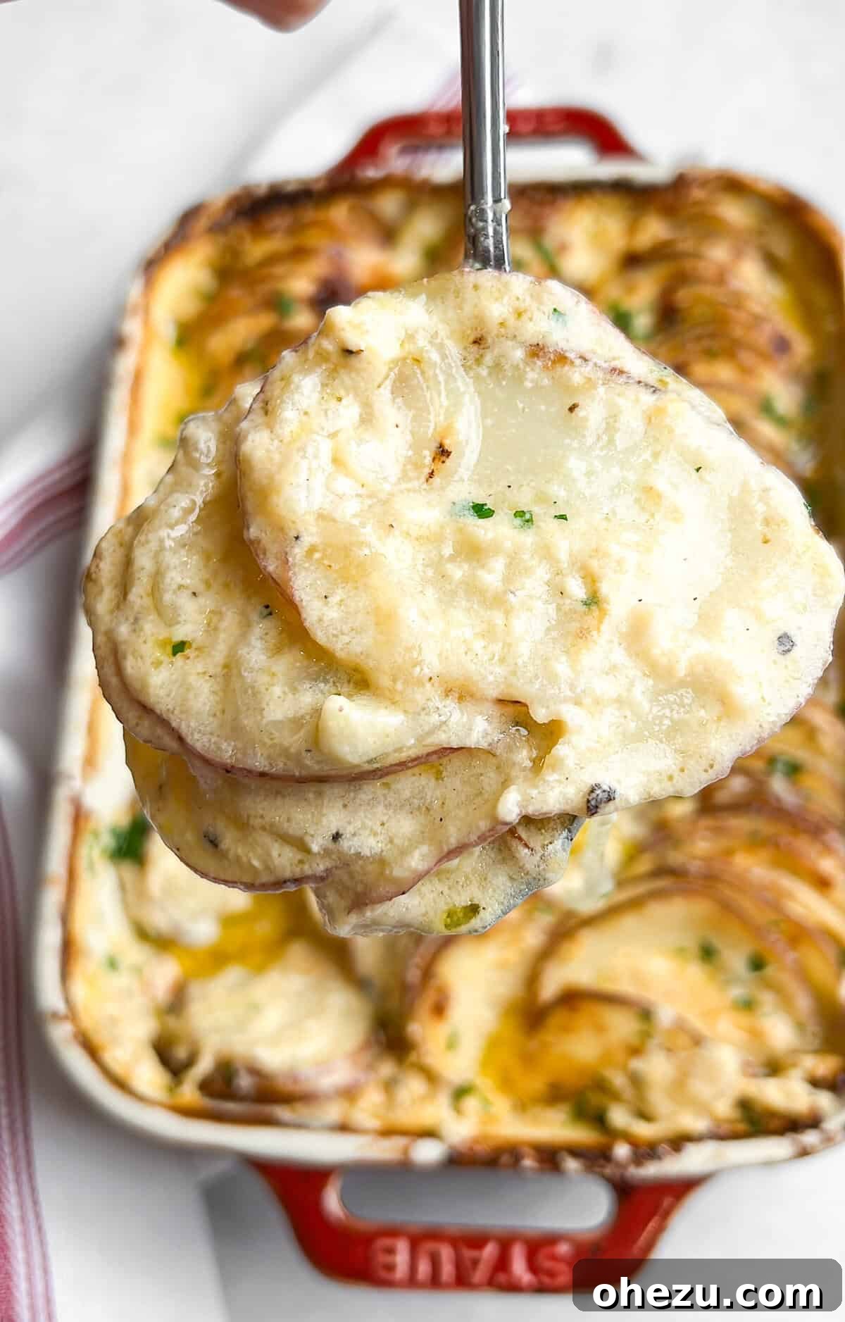 Fully baked Scalloped Potatoes Au Gratin, ready to serve