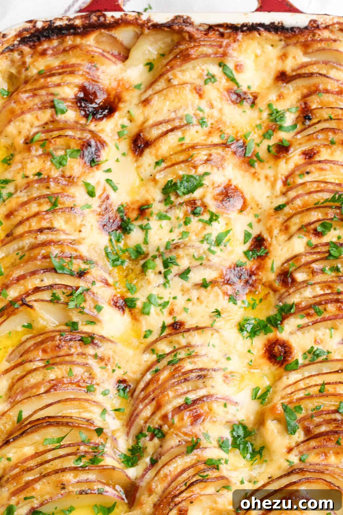 Serving Scalloped Potatoes Au Gratin with a golden spoon