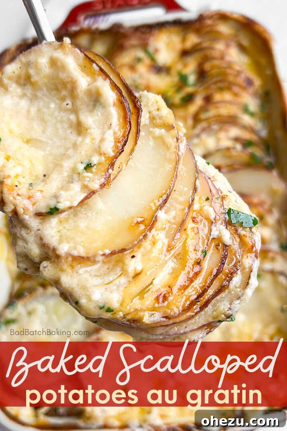 Close-up of baked Scalloped Potatoes Au Gratin showing golden crust