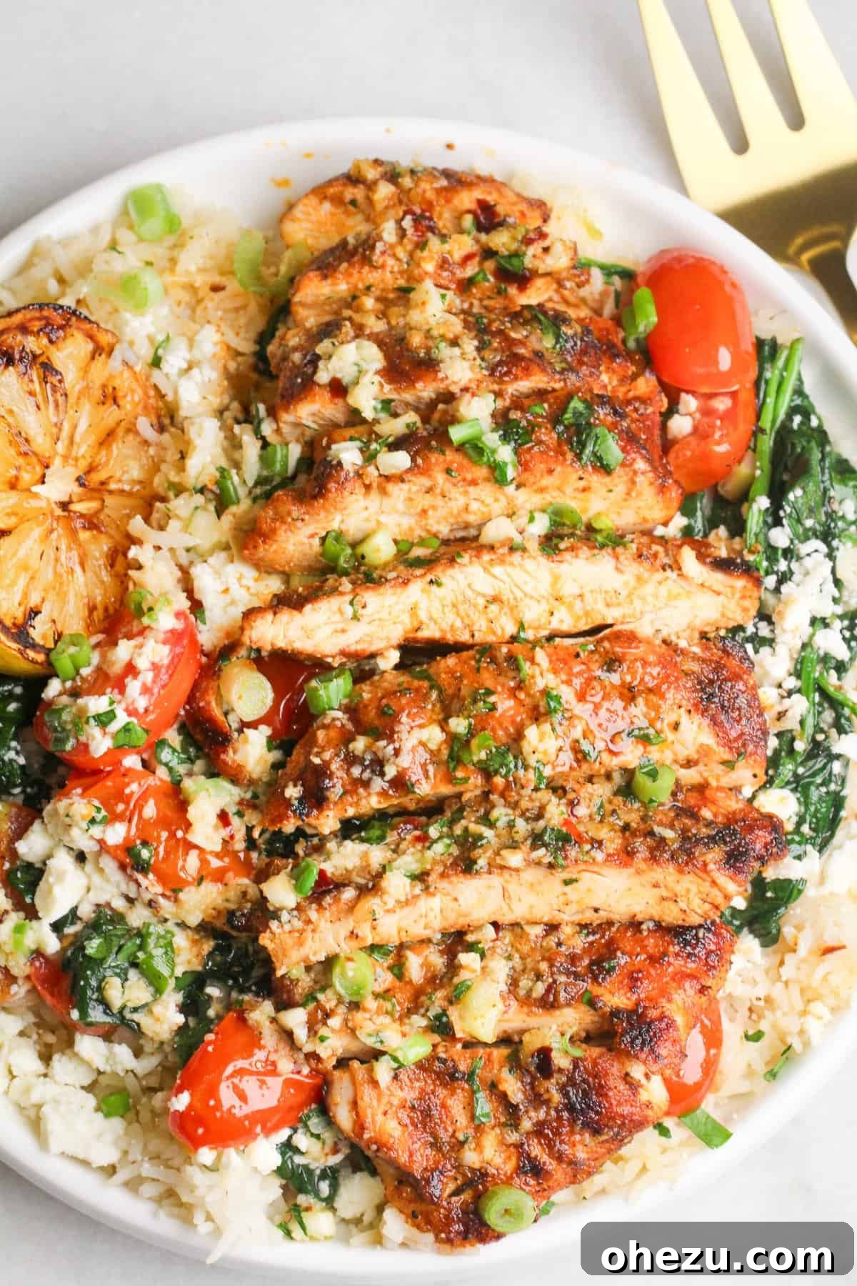 Zesty Lemon Garlic Parmesan Chicken and Rice 2 Lemon Garlic Parmesan Chicken and Rice, a delicious and quick 30-minute meal for families
