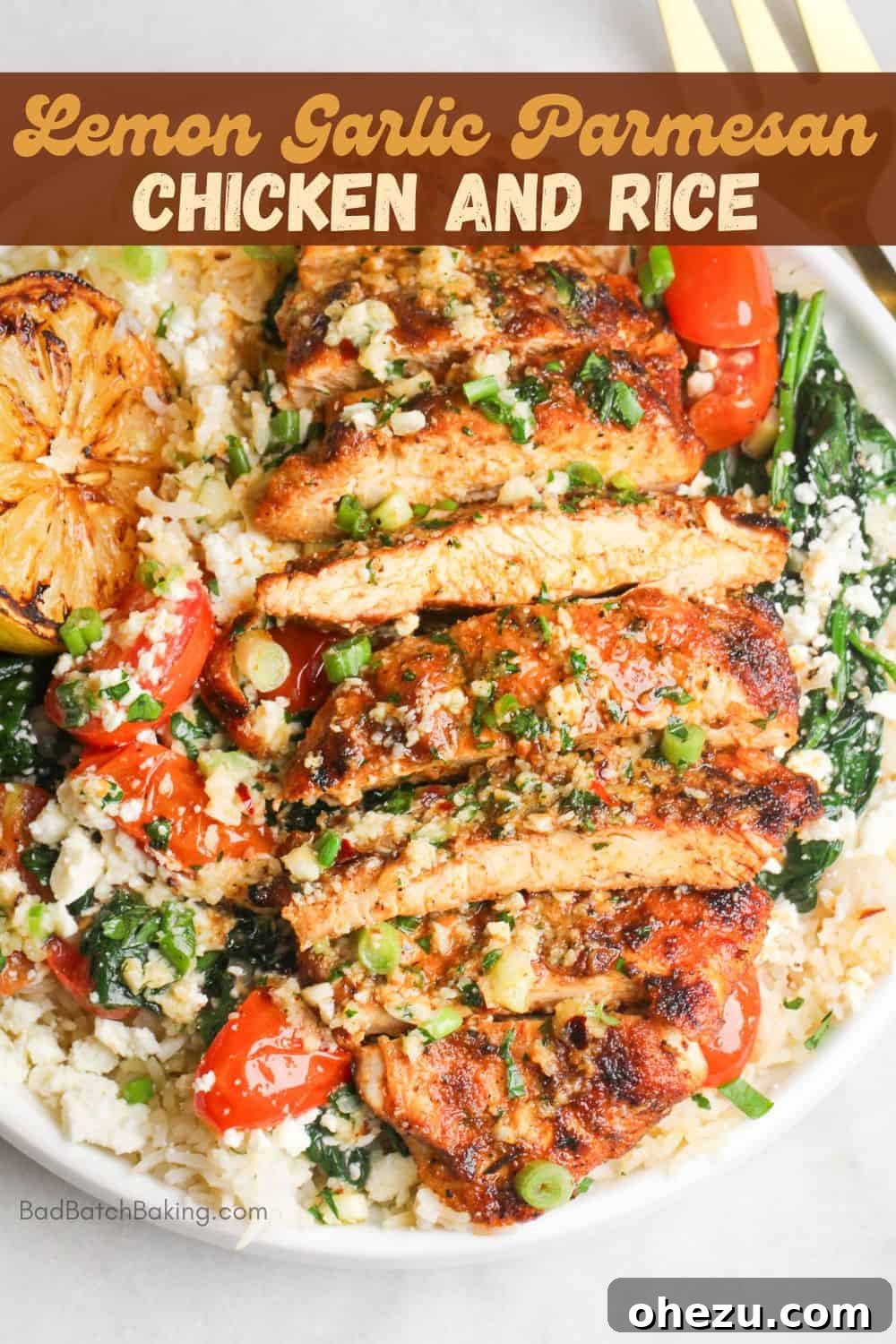 Zesty Lemon Garlic Parmesan Chicken and Rice 10 Another perspective of the plated Lemon Garlic Parmesan Chicken and Rice, emphasizing its appeal