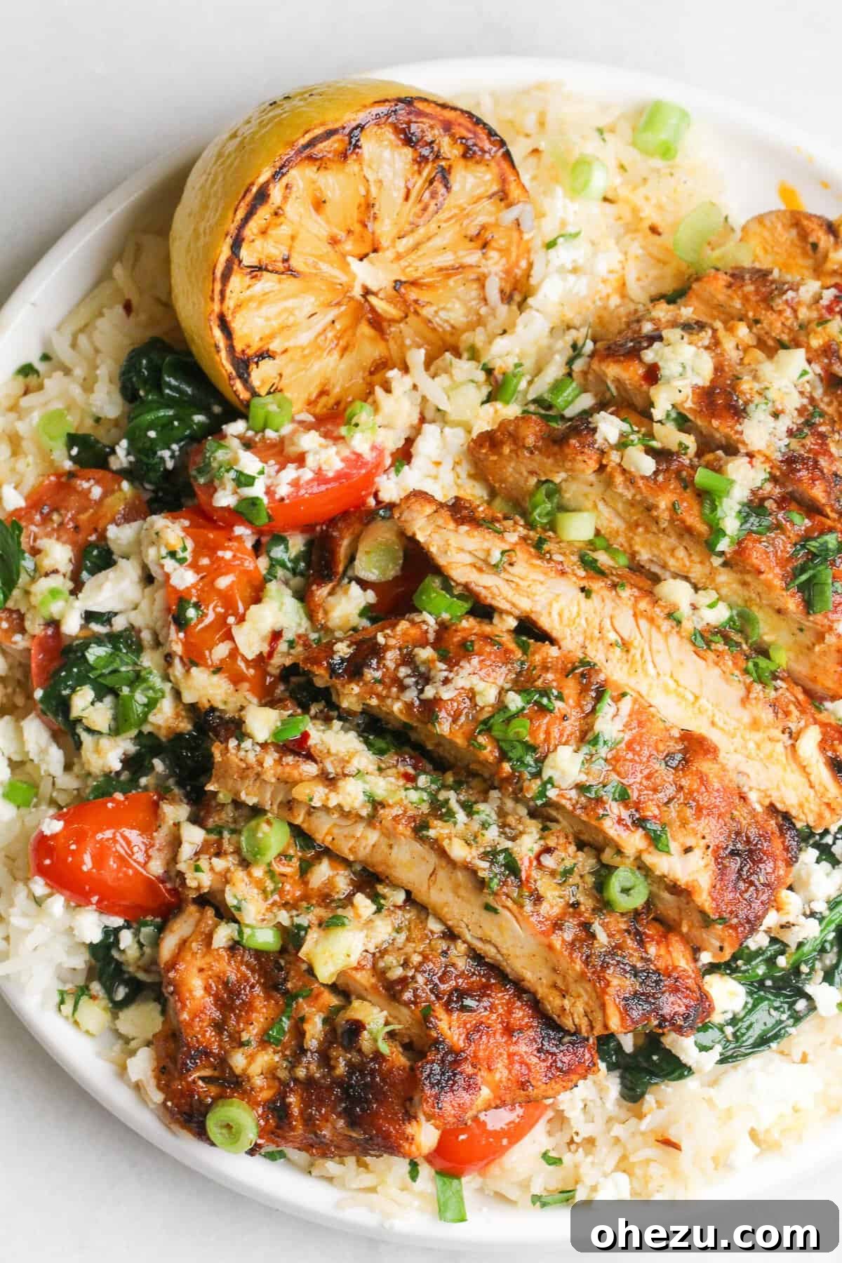 Zesty Lemon Garlic Parmesan Chicken and Rice 4 Various key ingredients for the lemon garlic parmesan chicken and rice recipe displayed