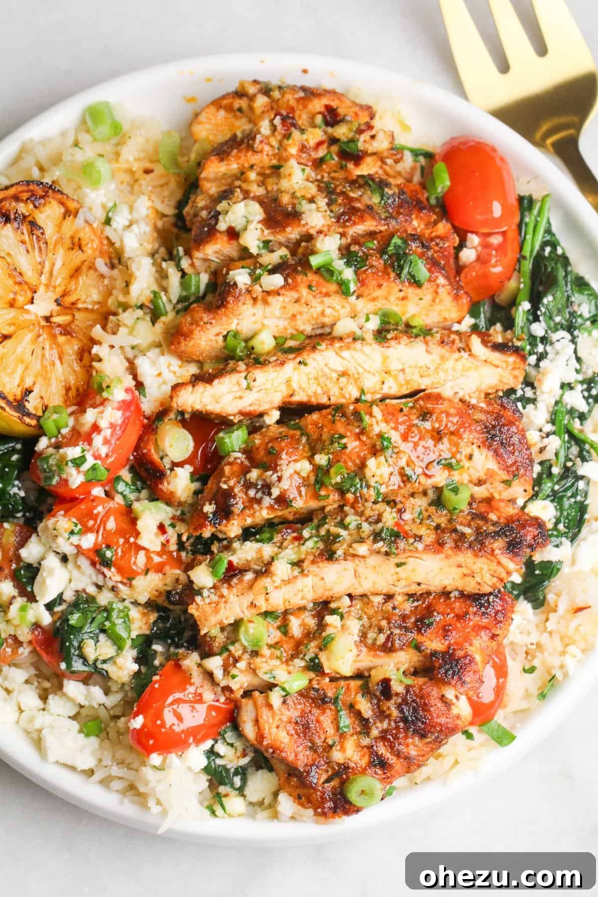 Zesty Lemon Garlic Parmesan Chicken and Rice 5 Plated Lemon Garlic Parmesan Chicken and Rice dish ready to eat
