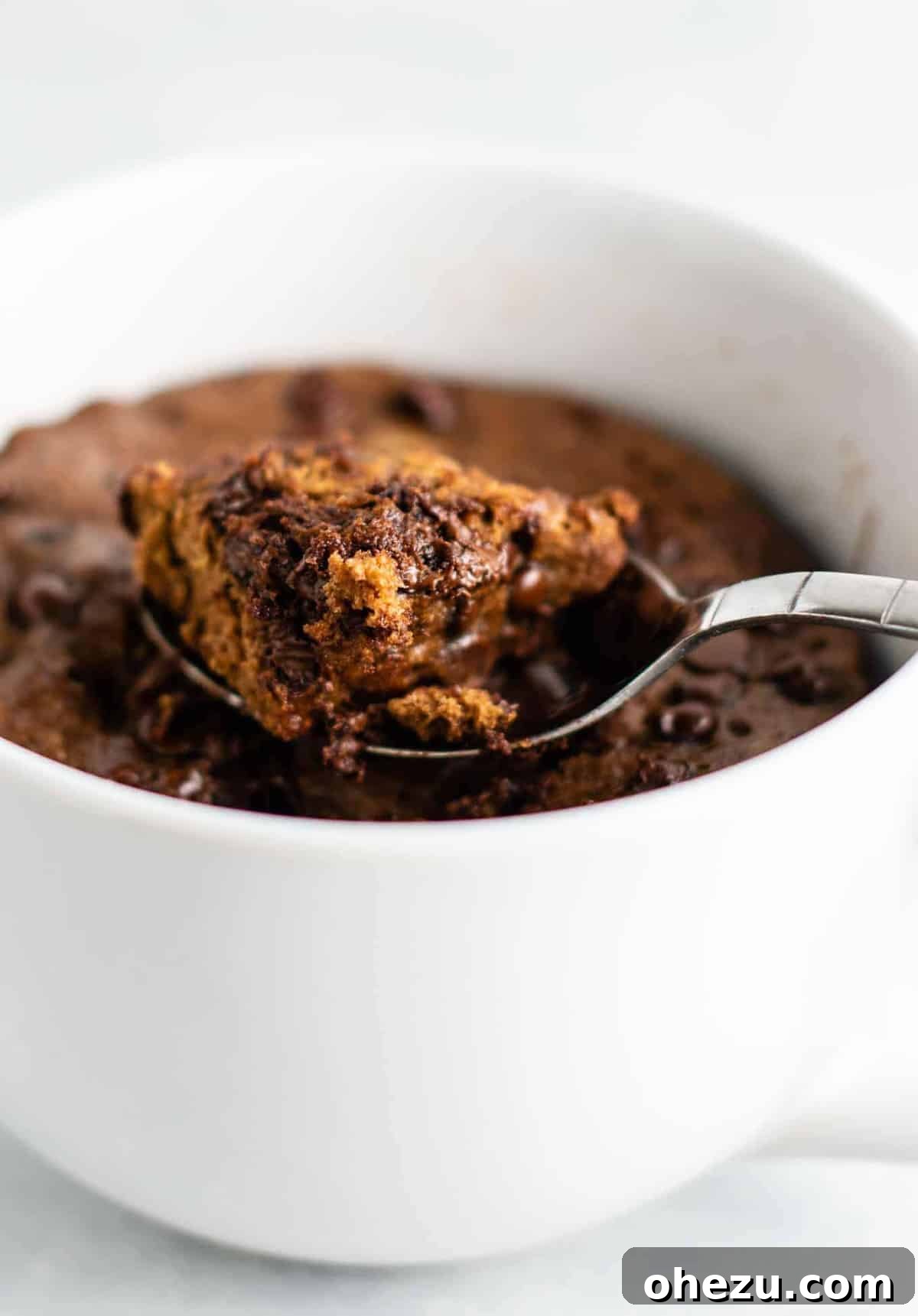 25 Delicious Gluten Free Dairy Free Desserts 11 Perfectly moist Gluten-Free Chocolate Dairy-Free Mug Cake