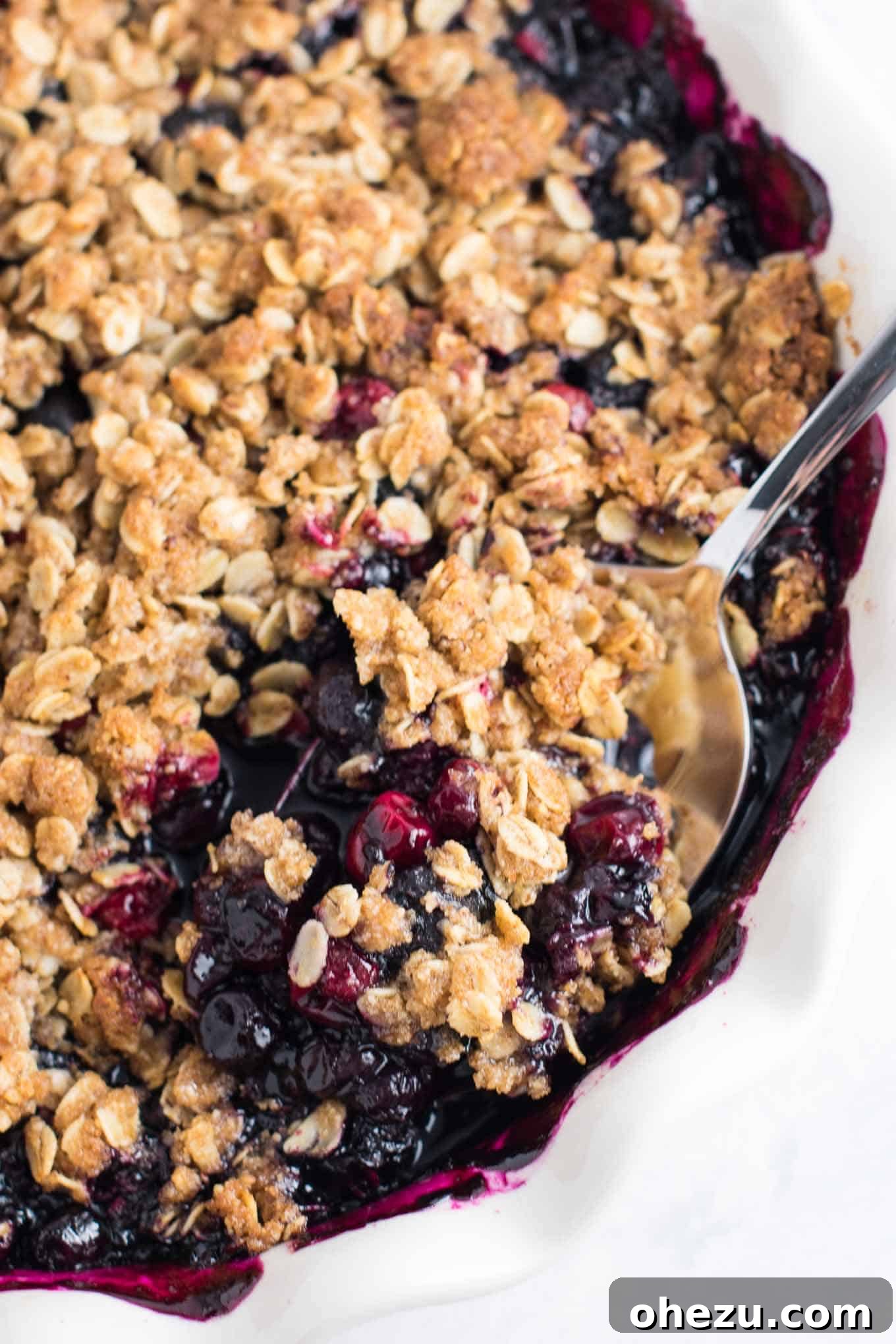 25 Delicious Gluten Free Dairy Free Desserts 19 Delicious Cranberry Blueberry Crisp recipe, a festive gluten-free dairy-free dessert