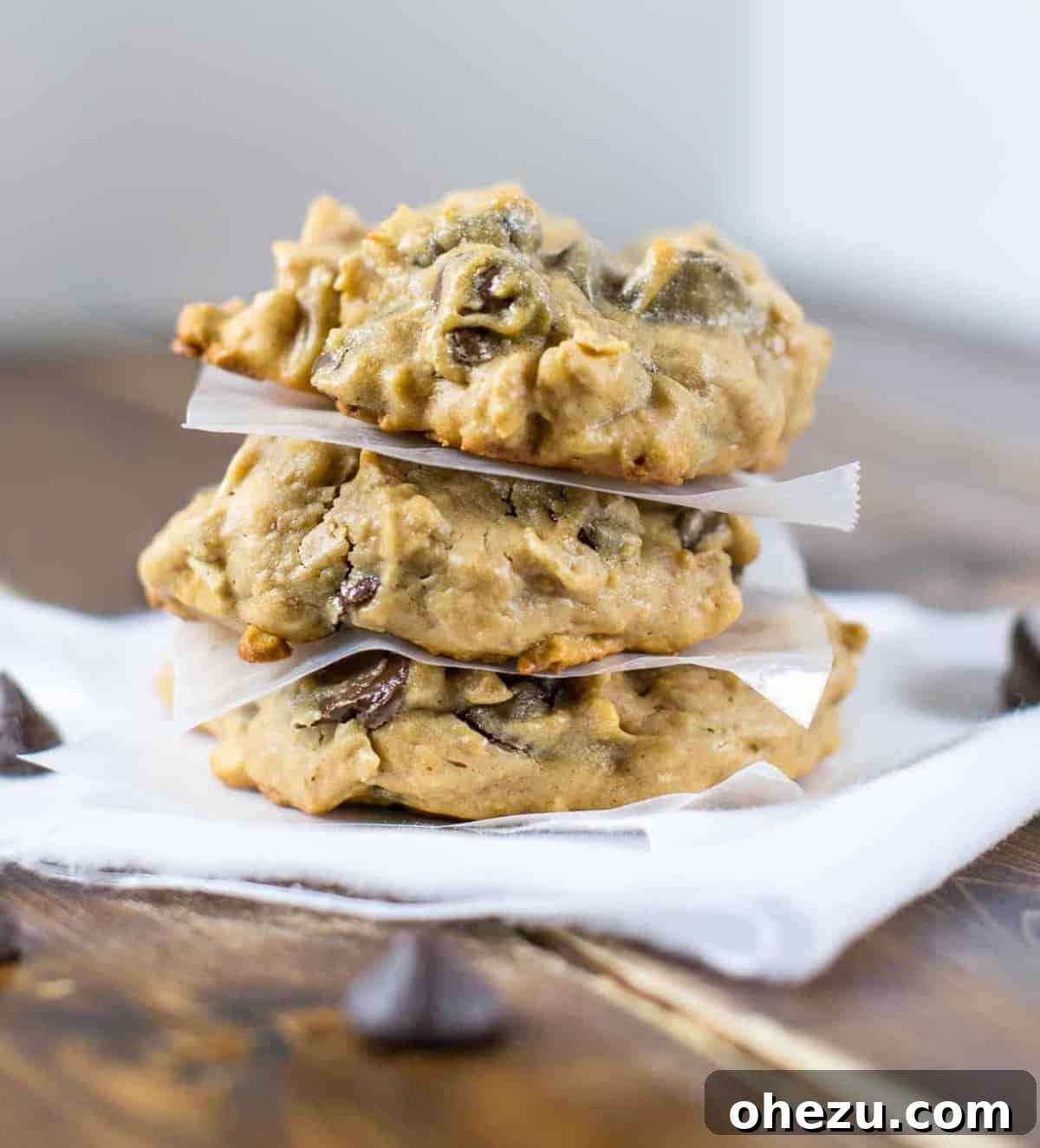 25 Delicious Gluten Free Dairy Free Desserts 4 Delicious Flourless Peanut Butter Oatmeal Chocolate Chip Cookies – a gluten-free dairy-free dessert