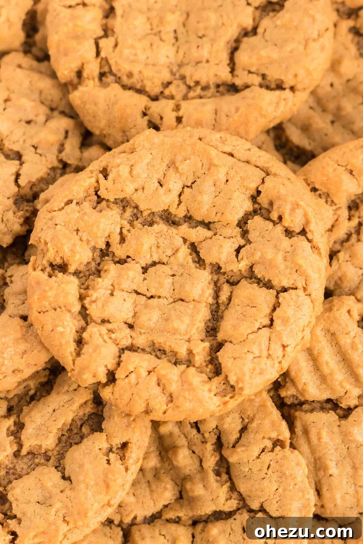 25 Delicious Gluten Free Dairy Free Desserts 8 Soft and fluffy peanut butter cookies, a delightful gluten-free dairy-free option