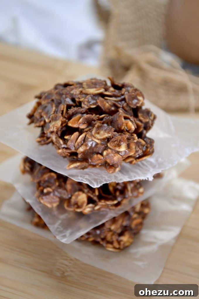 25 Delicious Gluten Free Dairy Free Desserts 9 Healthy Chocolate Peanut Butter No-Bake Cookies, a quick gluten-free dairy-free treat