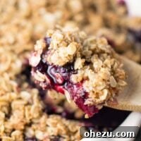 Gluten-free vegan blueberry peach crisp, warm and inviting.