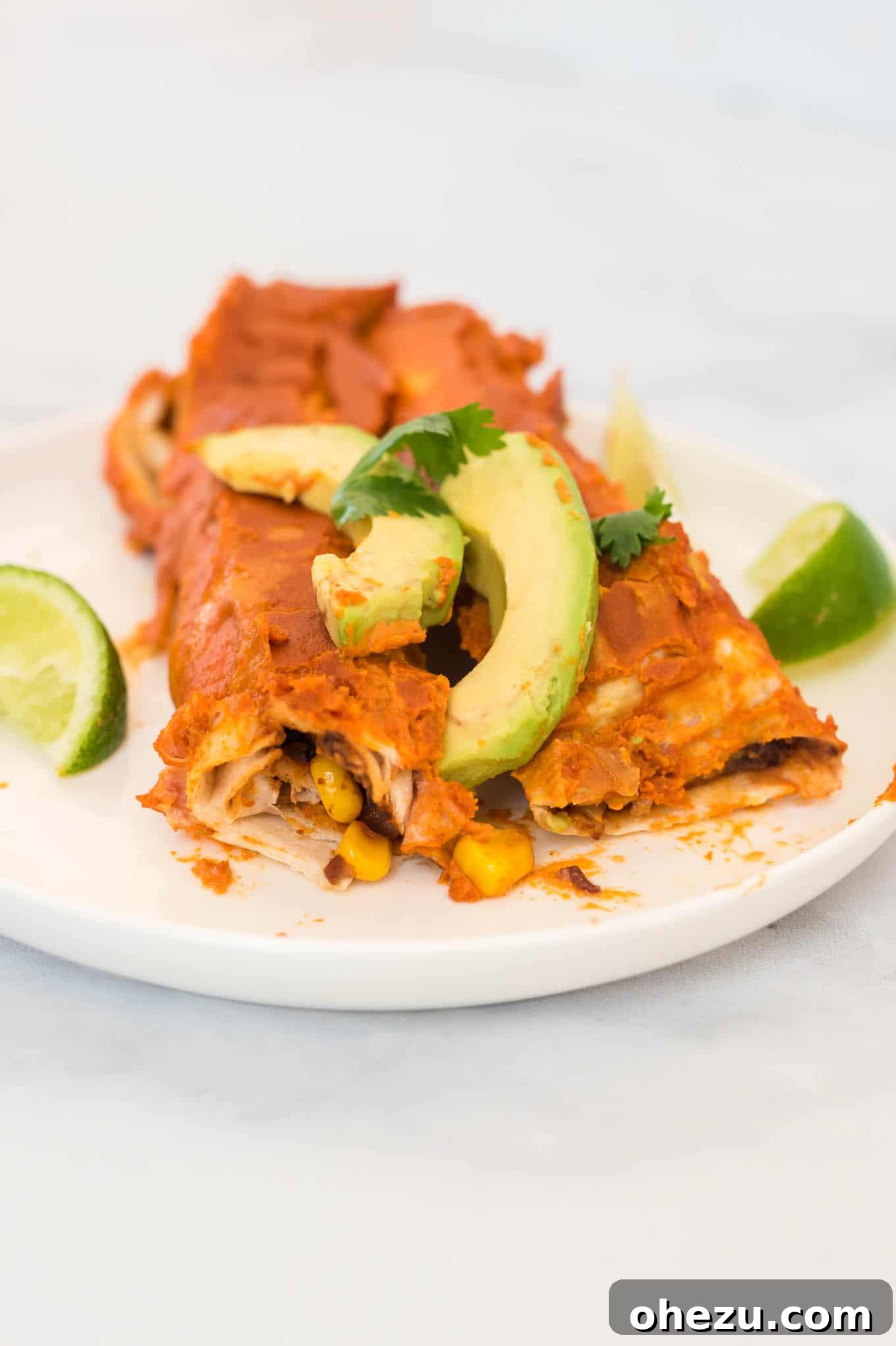 Flavorful Vegan Dinner Creations 16 Two homemade vegan enchiladas on a white plate, topped with fresh avocado and cilantro, with lime wedges on the side. #veganenchiladas #plantbasedmexican #cashewsauce #dairyfree