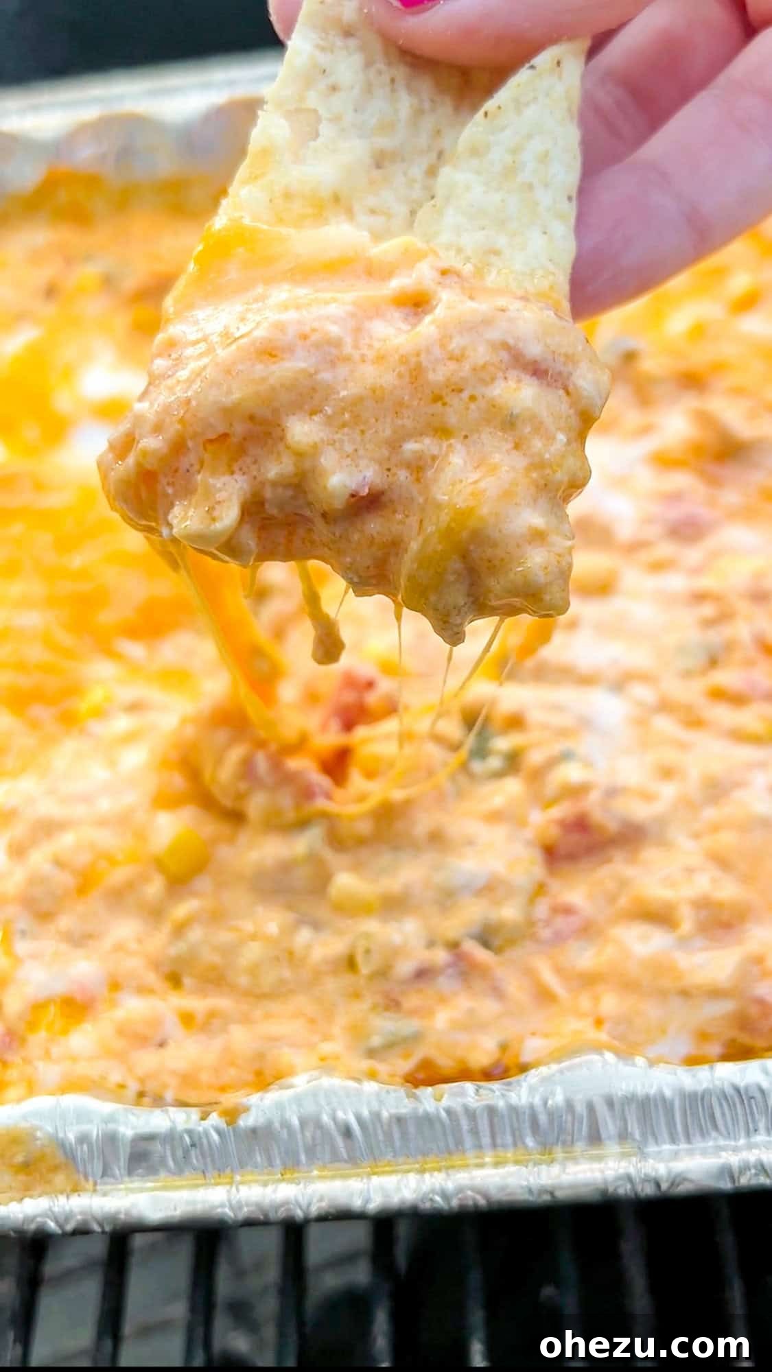 Crockpot Buffalo Bliss 4 Ingredients for Slow Cooker Buffalo Chicken Dip laid out