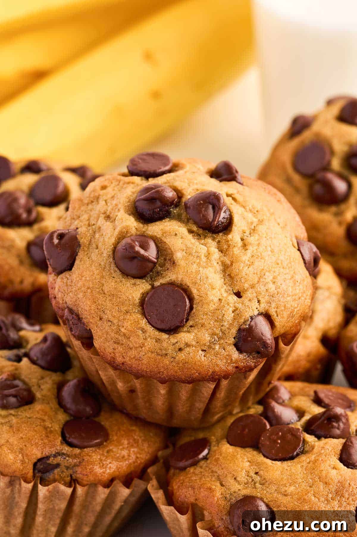 Moist Banana Greek Yogurt Muffins 2 Freshly baked Greek yogurt banana muffins on a cooling rack, perfectly golden brown with visible chocolate chips.