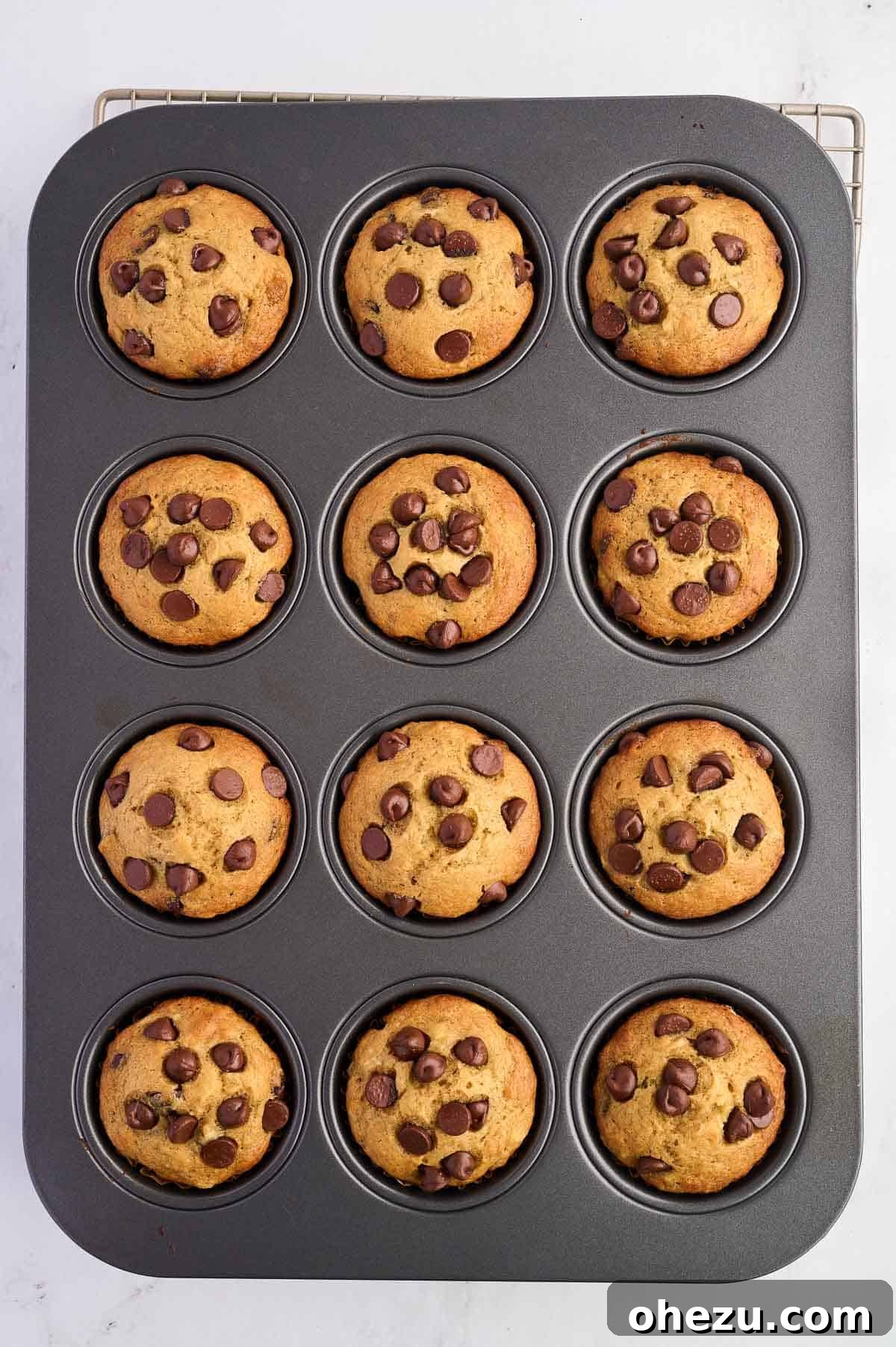 Moist Banana Greek Yogurt Muffins 14 Freshly baked Greek yogurt banana muffins in a muffin tin, golden and puffed.