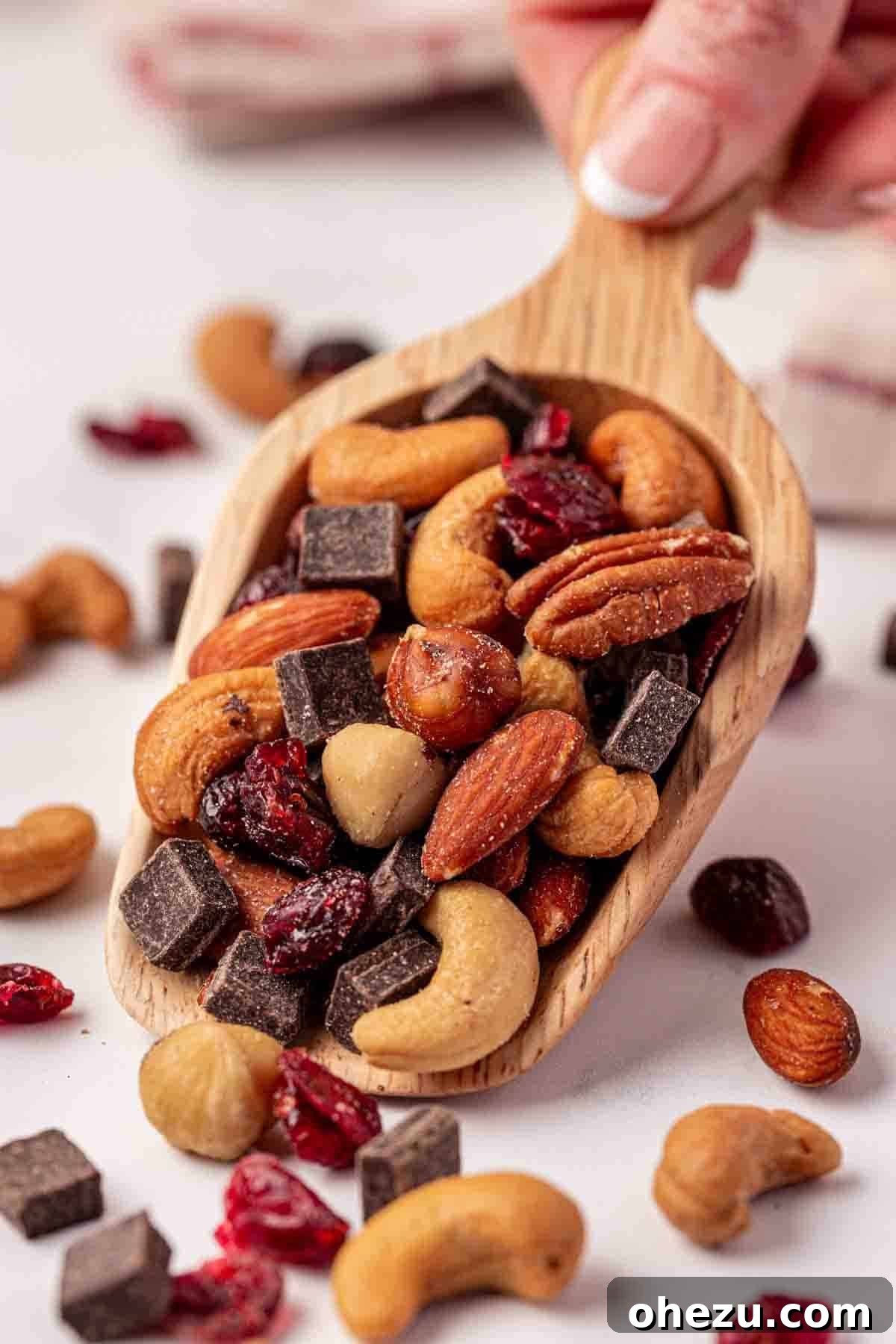 A single scoop of homemade trail mix, showcasing the diverse blend of roasted nuts, dark chocolate pieces, and vibrant dried cranberries, ready to be enjoyed.