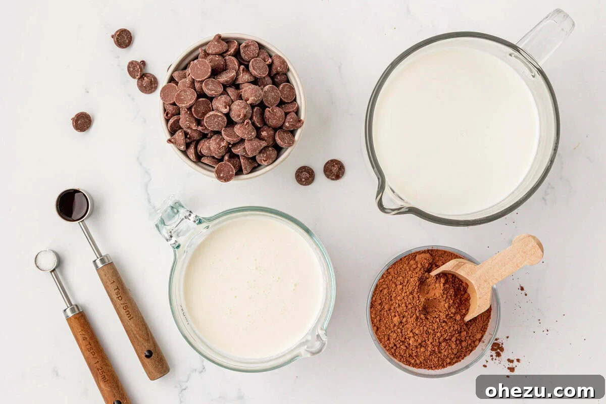 How to Make Rich Homemade Hot Chocolate 4 ingredients needed to make homemade hot chocolate
