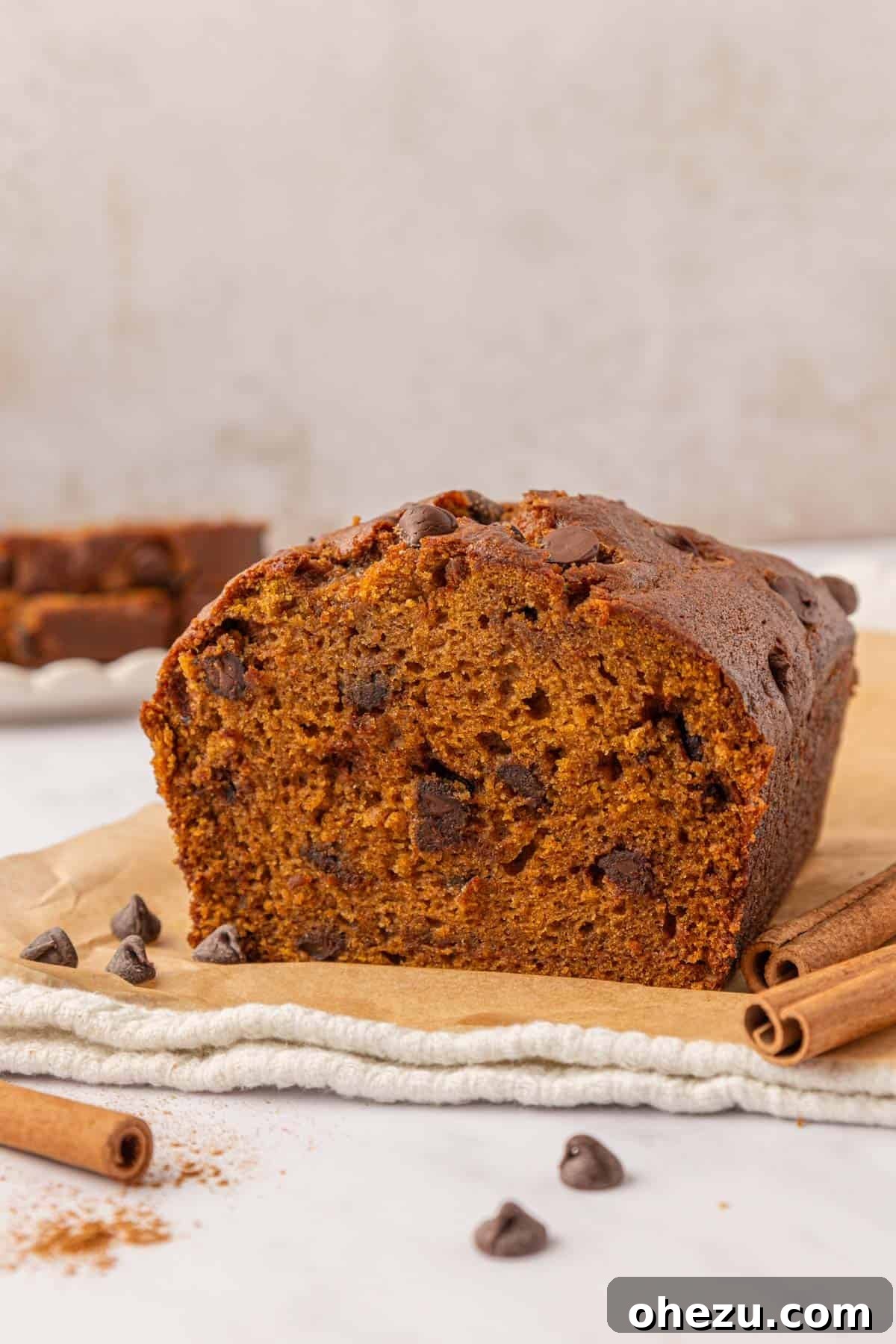 chocolate chip pumpkin bread loaf