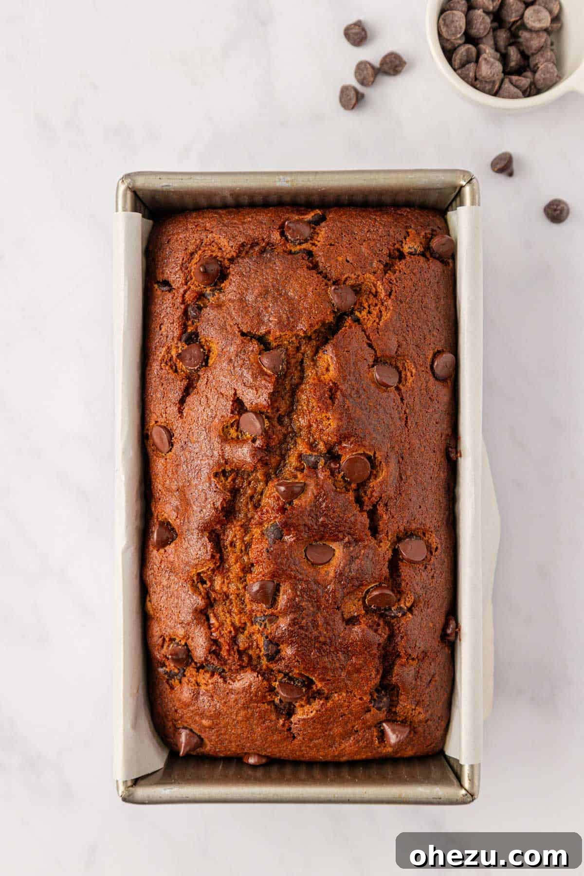 chocolate chip pumpkin bread loaf
