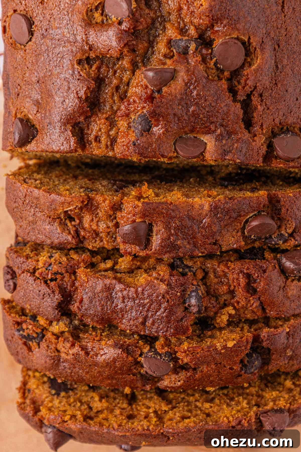 chocolate chip pumpkin bread